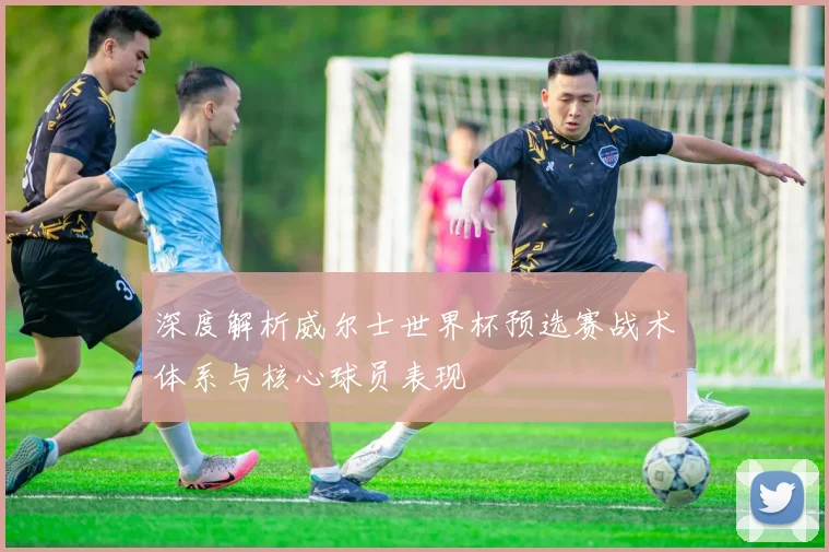 深度解析威尔士世界杯预选赛战术体系与核心球员表现
