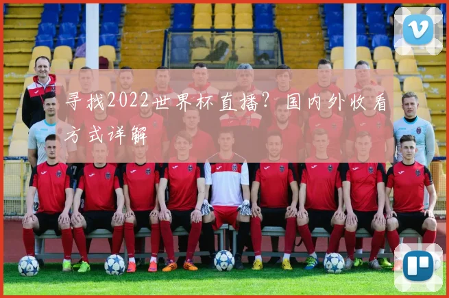 寻找2022世界杯直播？国内外收看方式详解