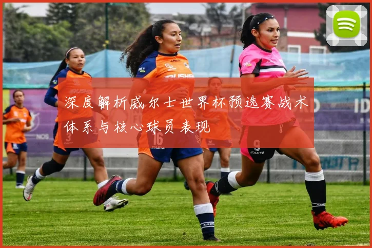 深度解析威尔士世界杯预选赛战术体系与核心球员表现