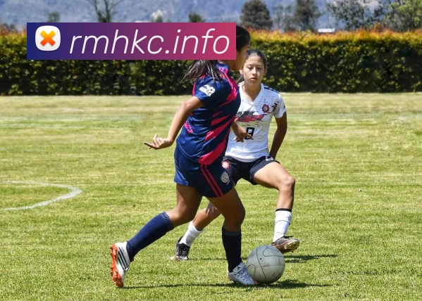 九游j9官网首页入口平台生态图